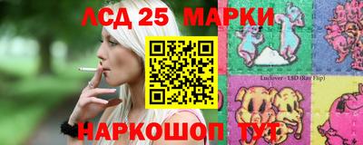 индика Будённовск