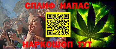 индика Будённовск
