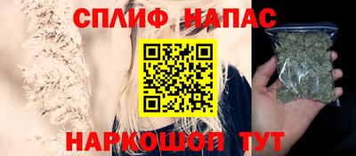 индика Будённовск