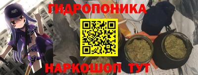 индика Будённовск
