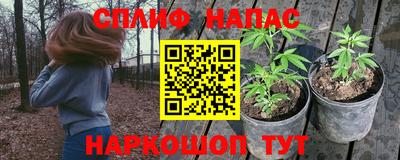 индика Будённовск